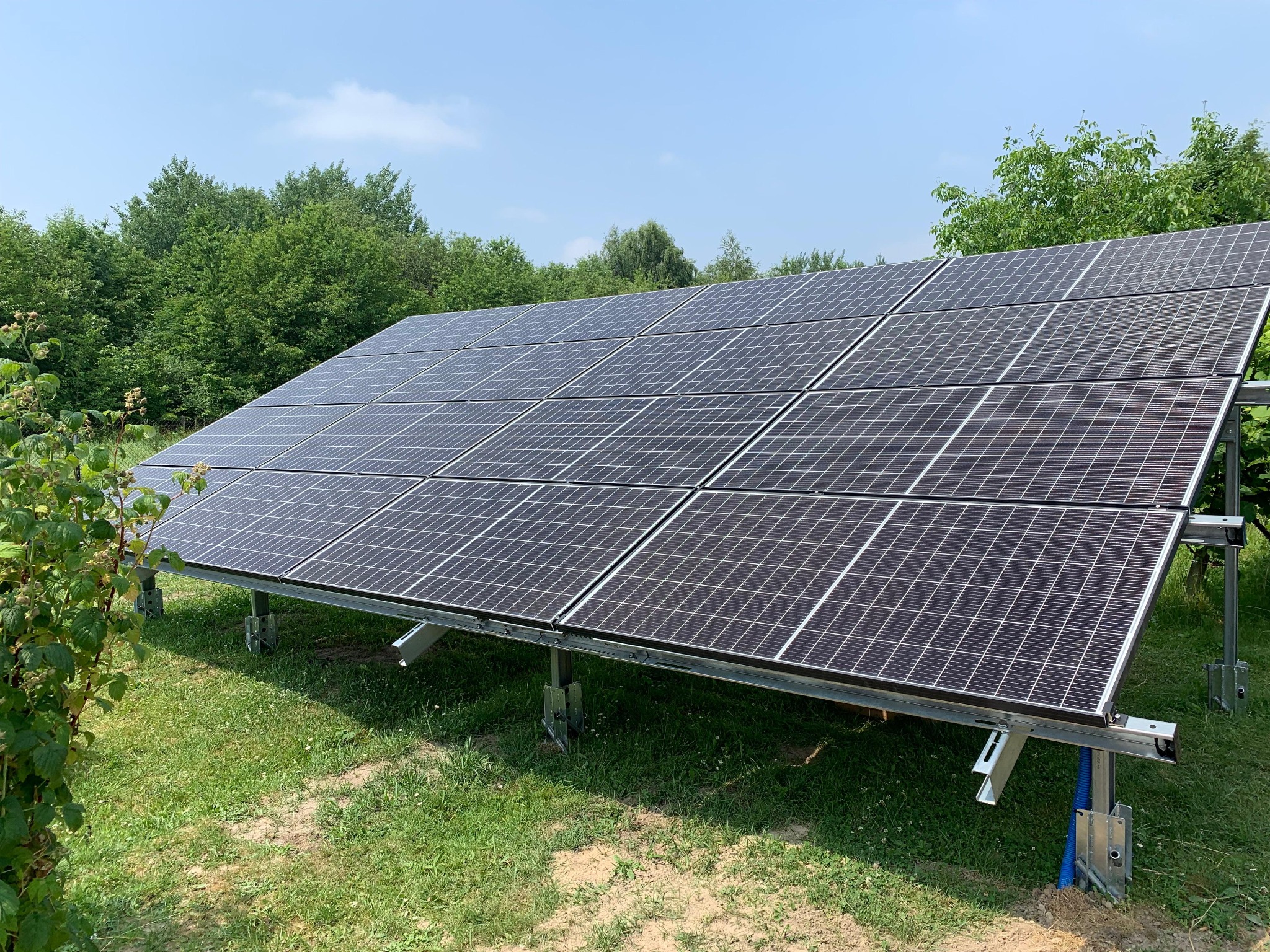 Instalacja paneli słonecznych na trawie w Krakowie. Widok na moduły fotowoltaiczne z bliska, z zielonym tłem drzew i błękitnym niebem.