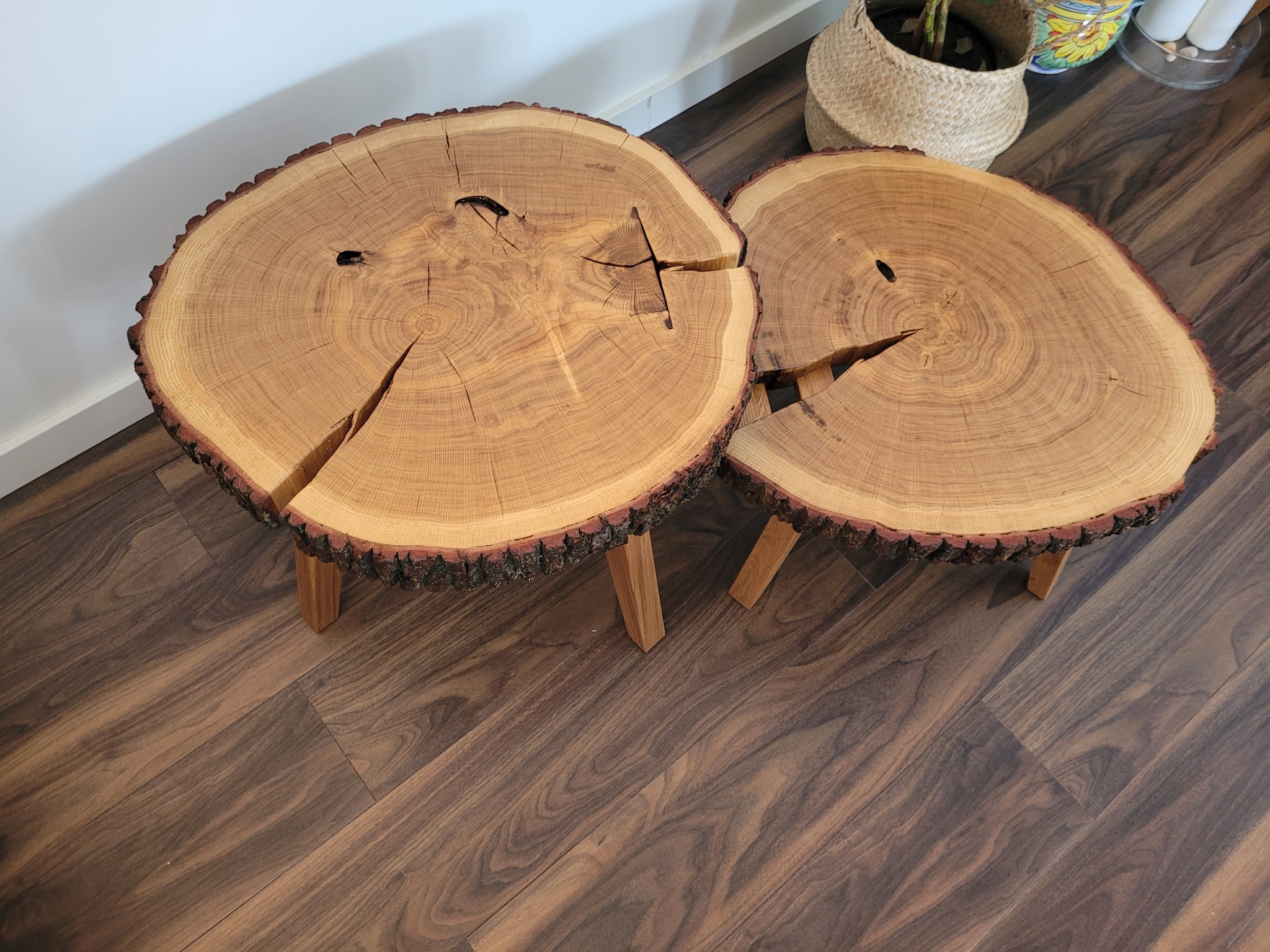 Dwa unikalne stoliki kawowe z plastrów drewna z korą, na drewnianej podłodze. Widoczne słoje i naturalne pęknięcia drewna. Minimalistyczny design.