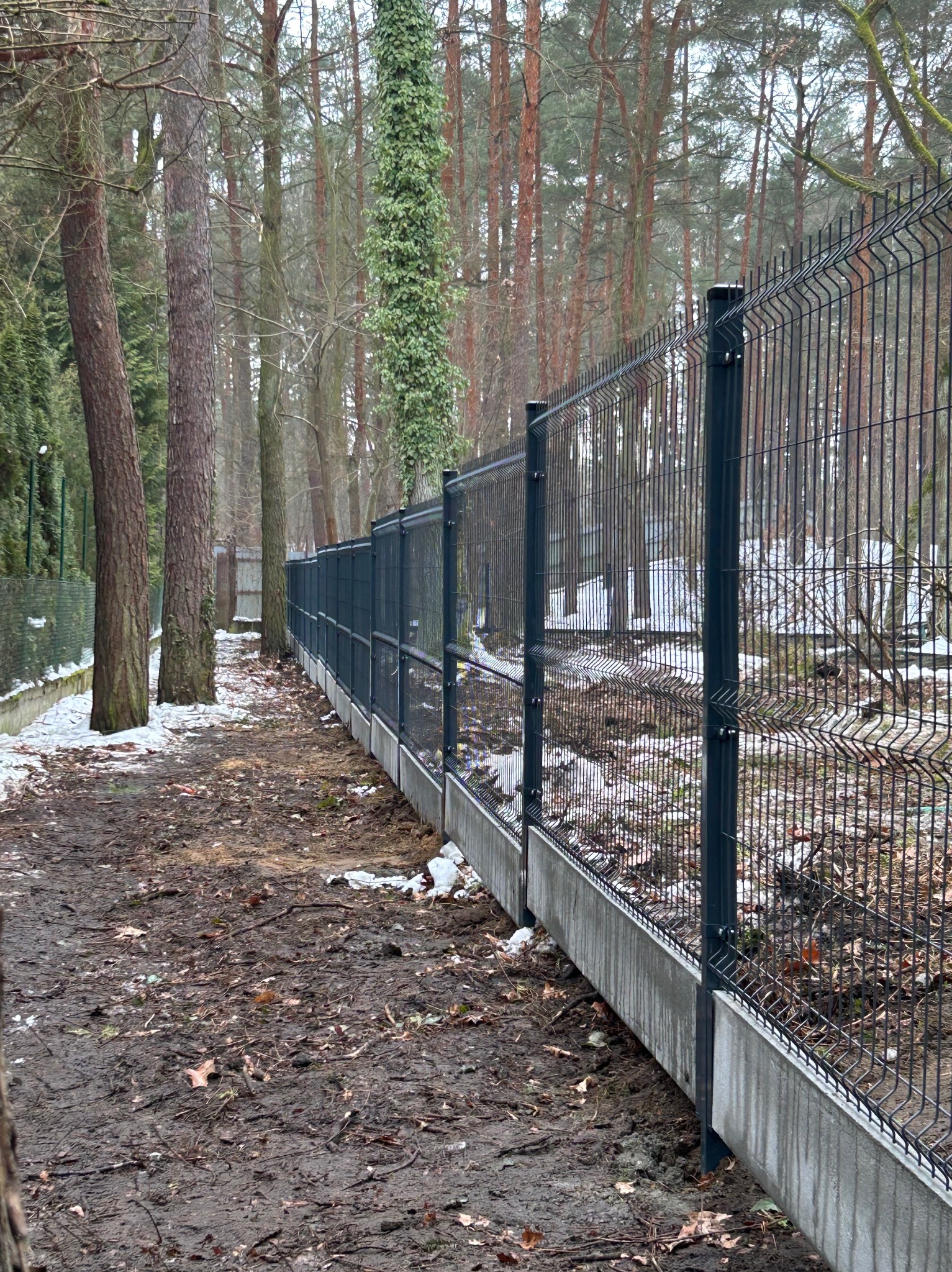 Nowoczesne ogrodzenie panelowe na betonowej podmurówce, otoczone drzewami i resztkami śniegu. Widok z perspektywy ziemi, podkreślający solidność konstrukcji.