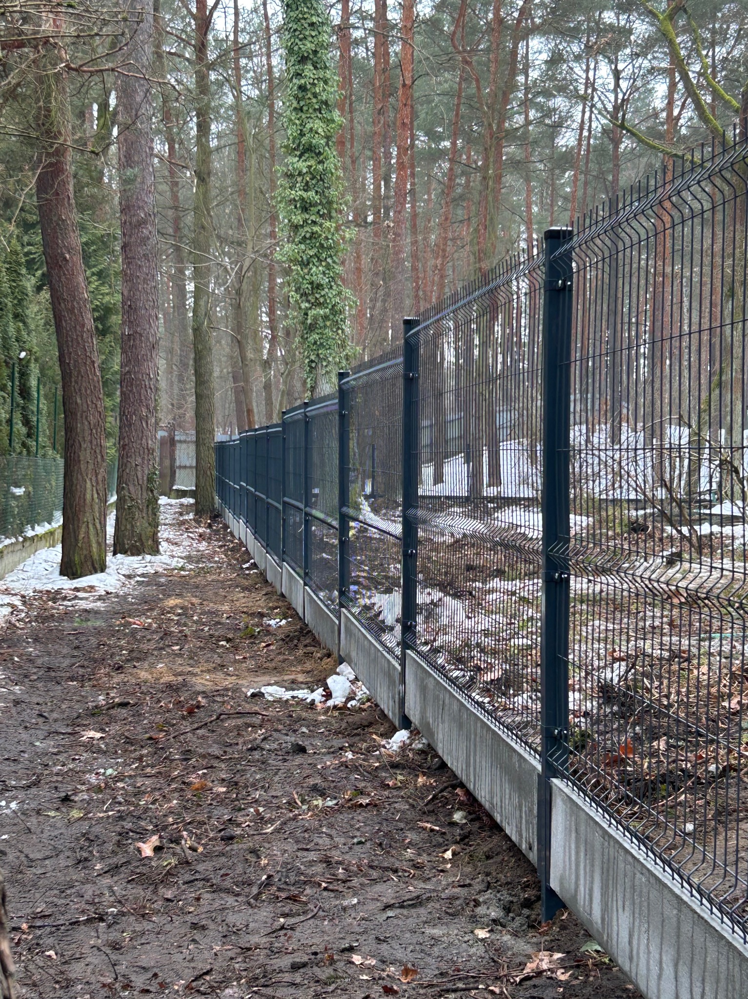 Nowoczesne ogrodzenie panelowe z podmurówką betonową, wkomponowane w leśny krajobraz. Ciemna kolorystyka paneli kontrastuje z zielenią drzew i resztkami śniegu.