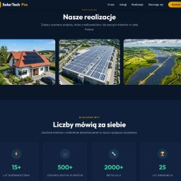 Tworzenie stron internetowych Tarnowo Podgórne 3