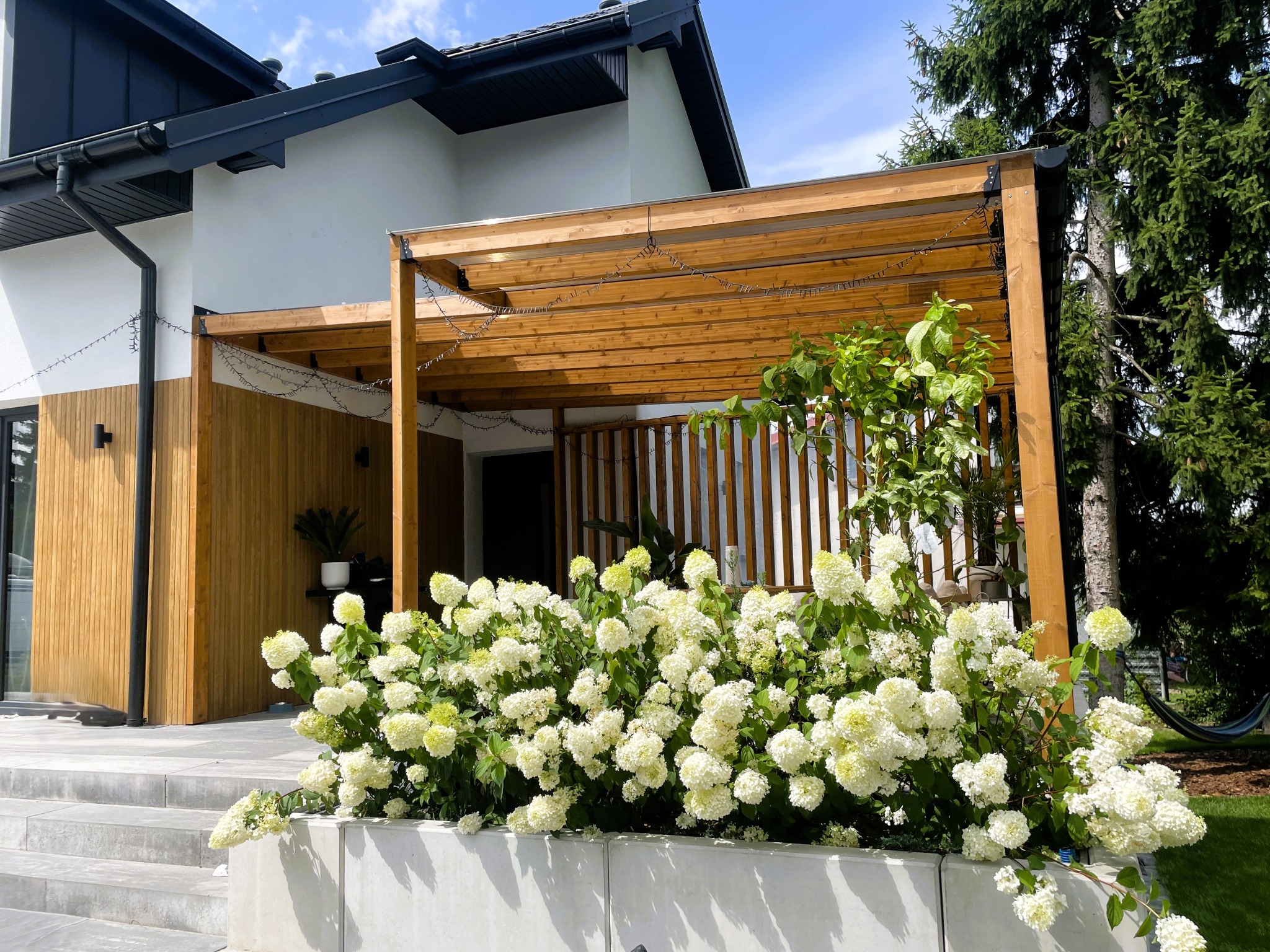 Nowoczesna, drewniana konstrukcja z oświetleniem, przylegająca do domu z drewnianą elewacją. Białe hortensje w betonowej donicy na pierwszym planie.