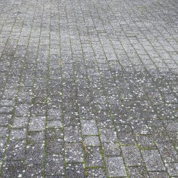 Mycie Ciśnieniowe Piotr Zieliński - Częściowo wyczyszczona, szara kostka brukowa przed domem z widocznymi śladami mchu i zabrudzeń, ukazująca efekt czyszczenia. Widoczny fragment domu i brama.