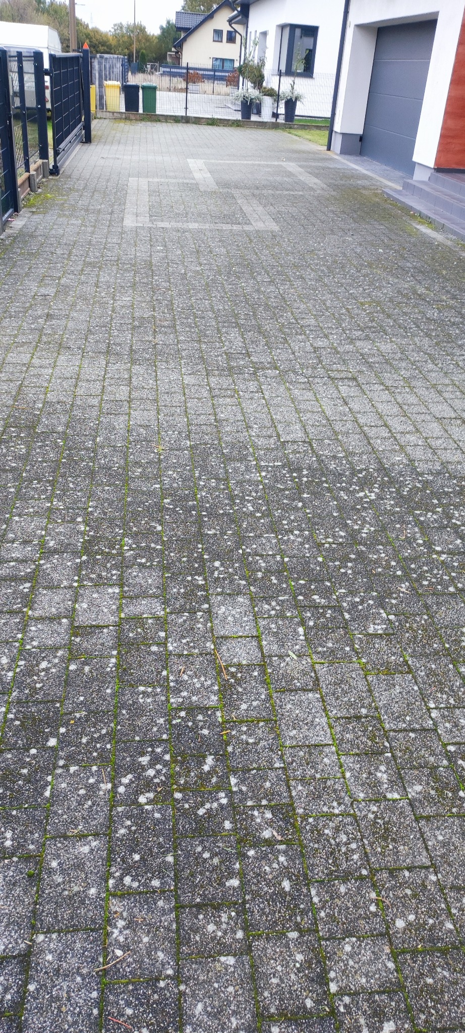 Częściowo wyczyszczona, szara kostka brukowa przed domem z widocznymi śladami mchu i zabrudzeń, ukazująca efekt czyszczenia. Widoczny fragment domu i brama.
