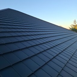 Complex dach - Mycie Dach&oacute;w Dąbie