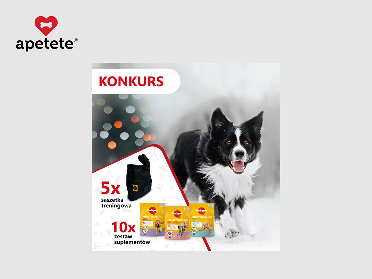 Grafika konkursowa z psem rasy border collie na tle zimowego krajobrazu, prezentująca nagrody: saszetkę treningową i zestaw suplementów marki Pedigree.
