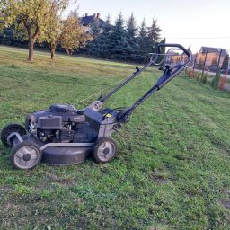 Mated - Czarna kosiarka spalinowa na trawniku z widocznymi śladami koszenia, w tle drzewa i zabudowa jednorodzinna. Lekki spadek terenu.