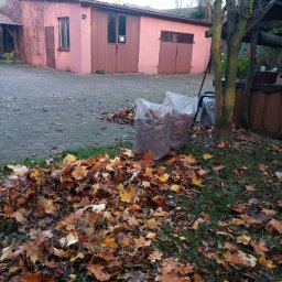 Mated - Przed domem Sochaczew