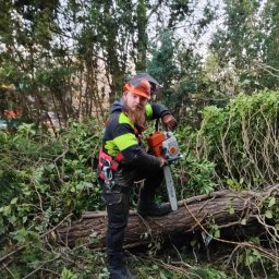 Mated - Usługi w ogrodzie Sochaczew
