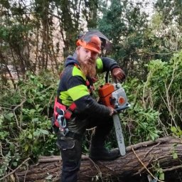 Mated - Opieka Nad Ogrodami Sochaczew