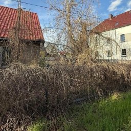 BAR-TRANS - Zarośnięty budynek z czerwonym dachem, widoczny przez gęstwinę suchych pnączy. W tle biały budynek z oknami i błękitne niebo. Zaniedbany teren.