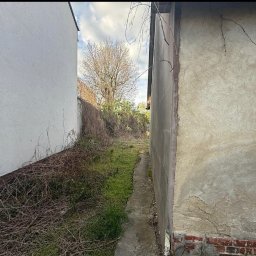 BAR-TRANS - Zarośnięte przejście między budynkami z widocznym drzewem w tle. Chodnik zarośnięty trawą i chwastami, ściany budynków z widocznymi uszkodzeniami i porostami.