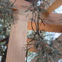 Serhii Toniuk - Fragment drewnianej konstrukcji, prawdopodobnie altany, widziany z dołu przez gałęzie drzewa iglastego. Jasne drewno, widoczne łączenia elementów.