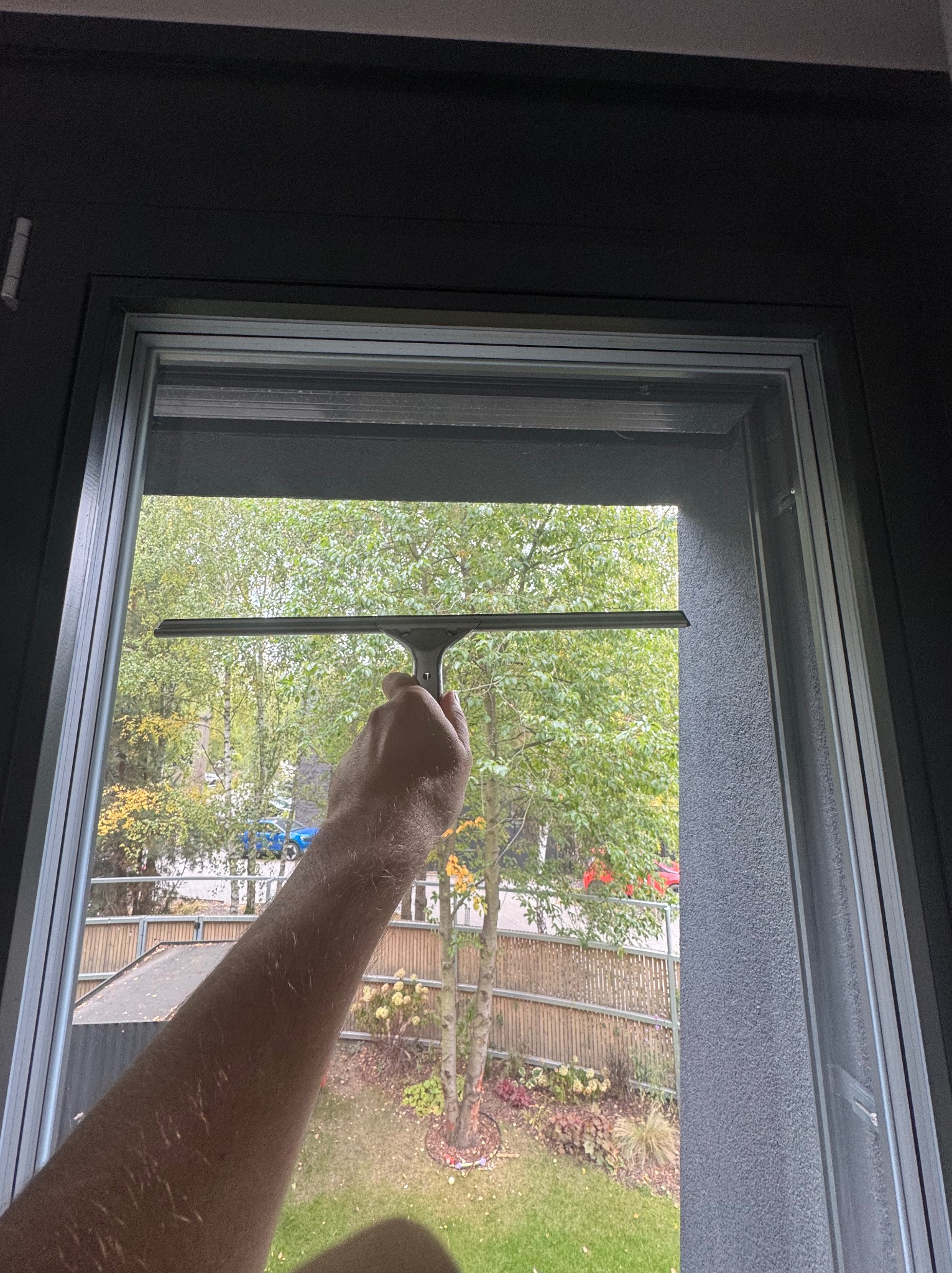 Mycie okna z zewnątrz za pomocą ściągaczki. Widok na ogród przez okno z szarą ramą. Ręka trzyma narzędzie na tle zieleni i błękitnego samochodu.