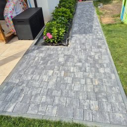 Wycinka drzew Szczecin 2