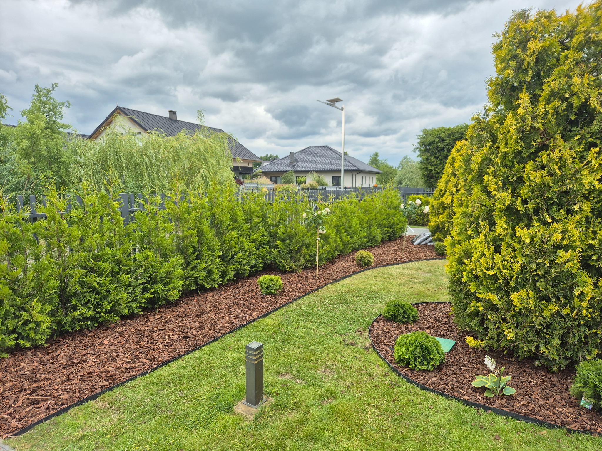 Starannie zaprojektowany ogród z tujami, korą i równo przystrzyżonym trawnikiem. Widoczne budynki w tle i pochmurne niebo. Oświetlenie ogrodowe.