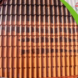 Mycie u Marchewy Michał Marchlewski - Częściowo wyczyszczona dachówka ceramiczna w odcieniach brązu i pomarańczy, widoczne różnice w kolorze po czyszczeniu. Fragment drabiny w dolnej części kadru.