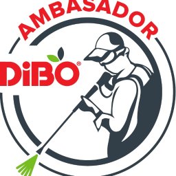 Mycie dachów Elbląg 2