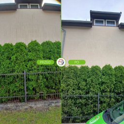 Mycie u Marchewy Michał Marchlewski - Efekt czyszczenia elewacji: porównanie stanu przed i po zabiegu. Widoczna różnica w czystości ściany budynku, zieleń tui i fragment zielonego auta w prawym dolnym rogu.