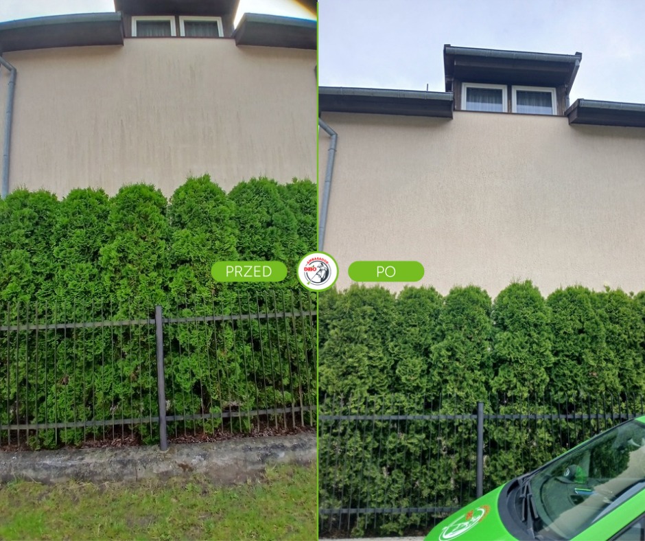 Efekt czyszczenia elewacji: porównanie stanu przed i po zabiegu. Widoczna różnica w czystości ściany budynku, zieleń tui i fragment zielonego auta w prawym dolnym rogu.