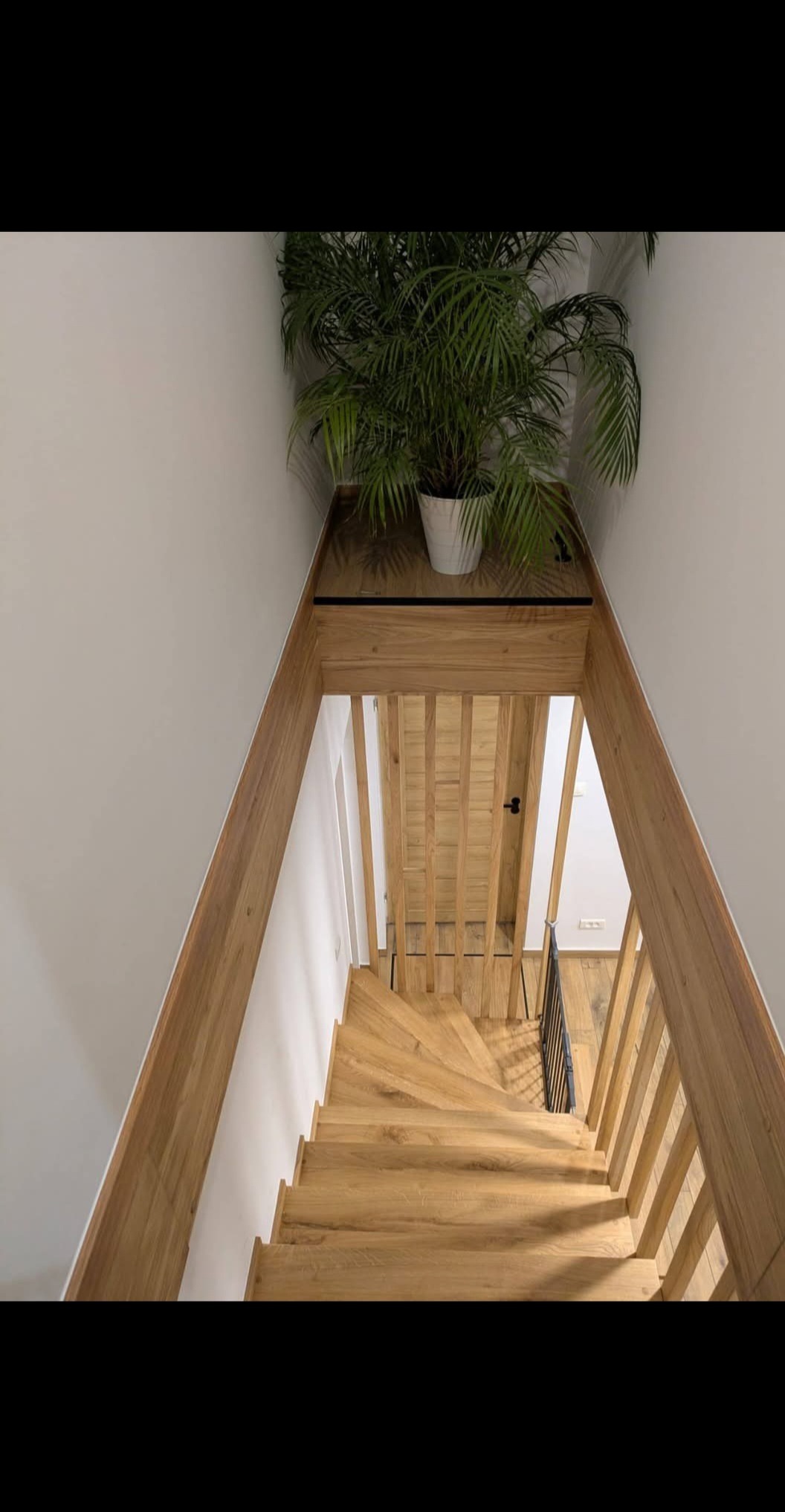 Jasne, drewniane schody widziane z góry, z rośliną doniczkową na podeście. Minimalistyczny design, naturalne światło, widok na dalszą część domu.