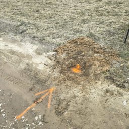 Lex Terrae Łukasz Szajewski - Wytyczenie działki: pomarańczowy palik w ziemi, wskazujący punkt geodezyjny. W tle widoczny dom i trawa. Ślady opon na ziemi. Pomarańczowa strzałka na ziemi.