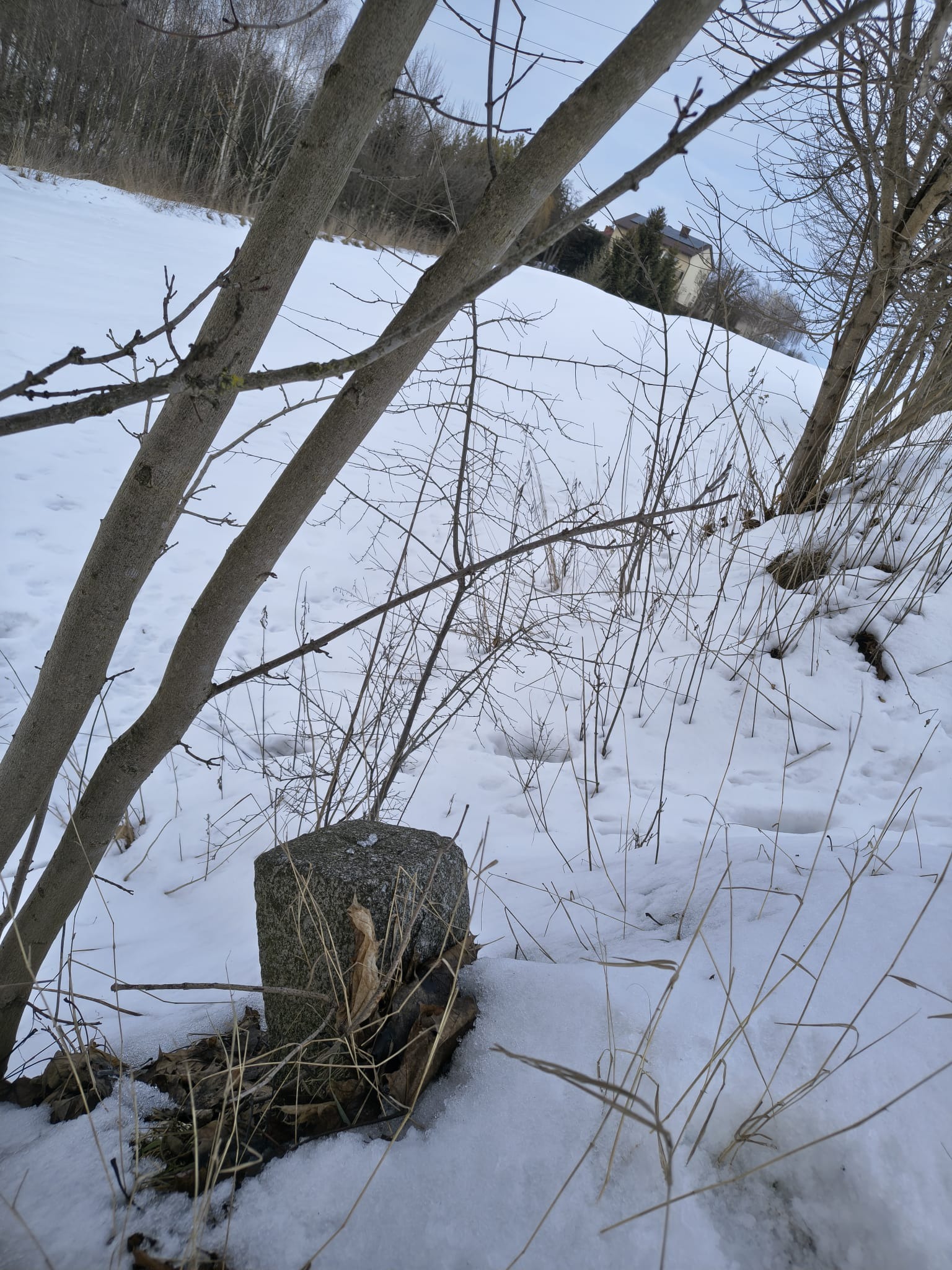Zimowy krajobraz z kamiennym słupkiem geodezyjnym na pierwszym planie, drzewa i zasypany śniegiem teren w tle. Widoczny dom na wzgórzu.