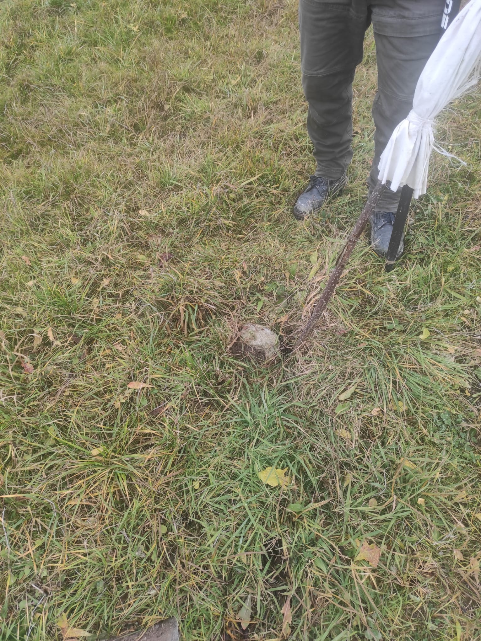 Wbity palik geodezyjny w trawie, obok stoi osoba z narzędziem pomiarowym. Widok z góry na wyznaczony punkt w terenie.