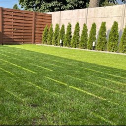 Prace Wielozadaniowe - CZYSTO - Sprzątanie Po Wynajmie Moryń