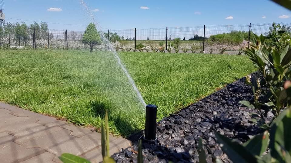 Działający system nawadniania trawnika w Piasecznie. Zraszacz w akcji, w tle zielona trawa i ogrodzenie. Czarna kora kamienna przy obrzeżach trawnika.