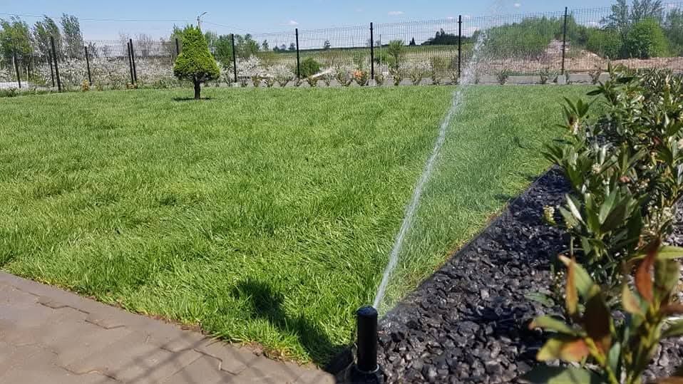 Działający zraszacz nawadnia soczystą, zieloną trawę na zadbanym trawniku. W tle widoczny płot i kwitnące drzewa, tworzące malowniczy krajobraz.