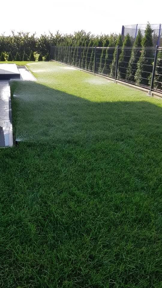 Nawodniony trawnik z systemem zraszaczy, widok na ogrodzenie z tujami. Intensywna zieleń trawy, równomierne nawodnienie. Fragment tarasu z płyt kamiennych.