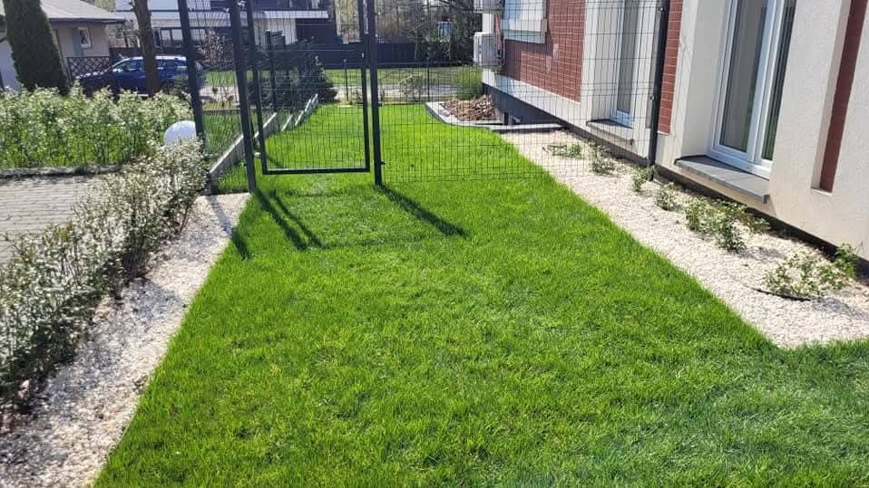 Zadbany trawnik z rolki, obrzeża z białego kamienia, ogrodzenie panelowe z furtką. Estetyczny ogród przydomowy z nasadzeniami wzdłuż budynku i ścieżki.