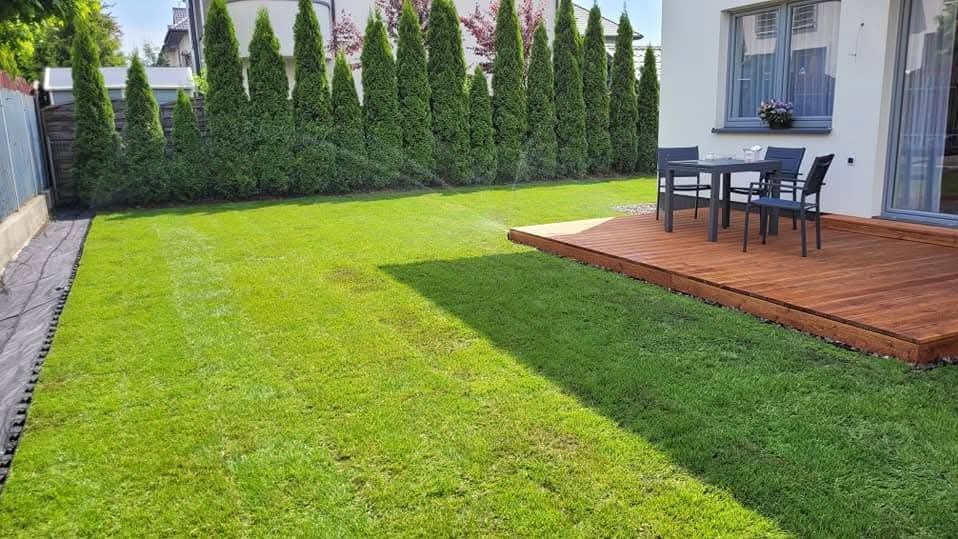 Świeżo założony trawnik z rolki, z systemem nawadniania w trakcie pracy. W tle rząd tuj i drewniany taras z meblami ogrodowymi przy nowoczesnym domu.