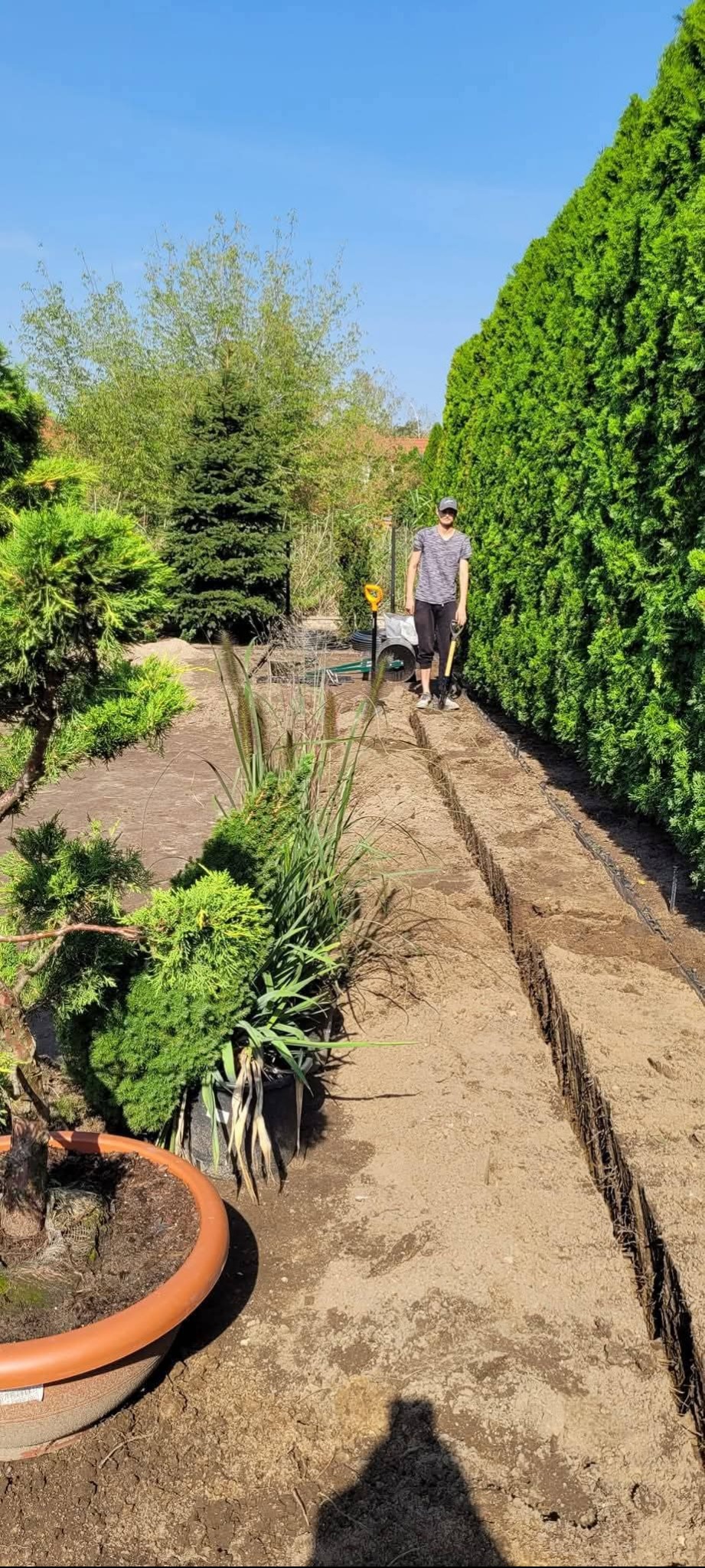 Wykopane rowy w ziemi pod system nawadniania ogrodu, widoczna osoba z łopatą i narzędzia ogrodnicze. Tuje w tle. Słoneczny dzień.