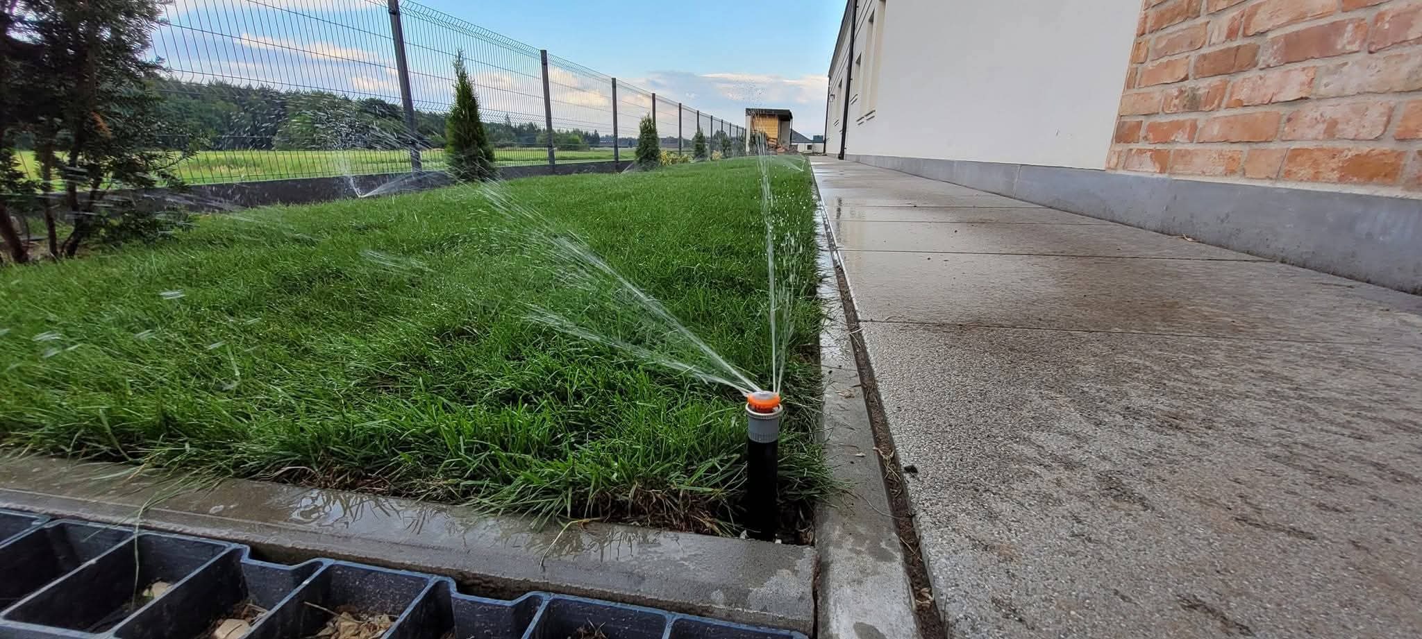 Działający zraszacz nawadnia świeżo założony trawnik z rolki, widoczne drzewka iglaste wzdłuż ogrodzenia i fragment chodnika przy budynku.