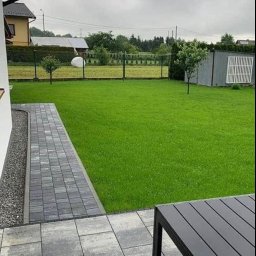 Green-Craft Ogrody - Szary chodnik z kostki brukowej prowadzi do zielonego trawnika. W tle widoczny dom i ogrodzenie. Na pierwszym planie fragment stołu ogrodowego.