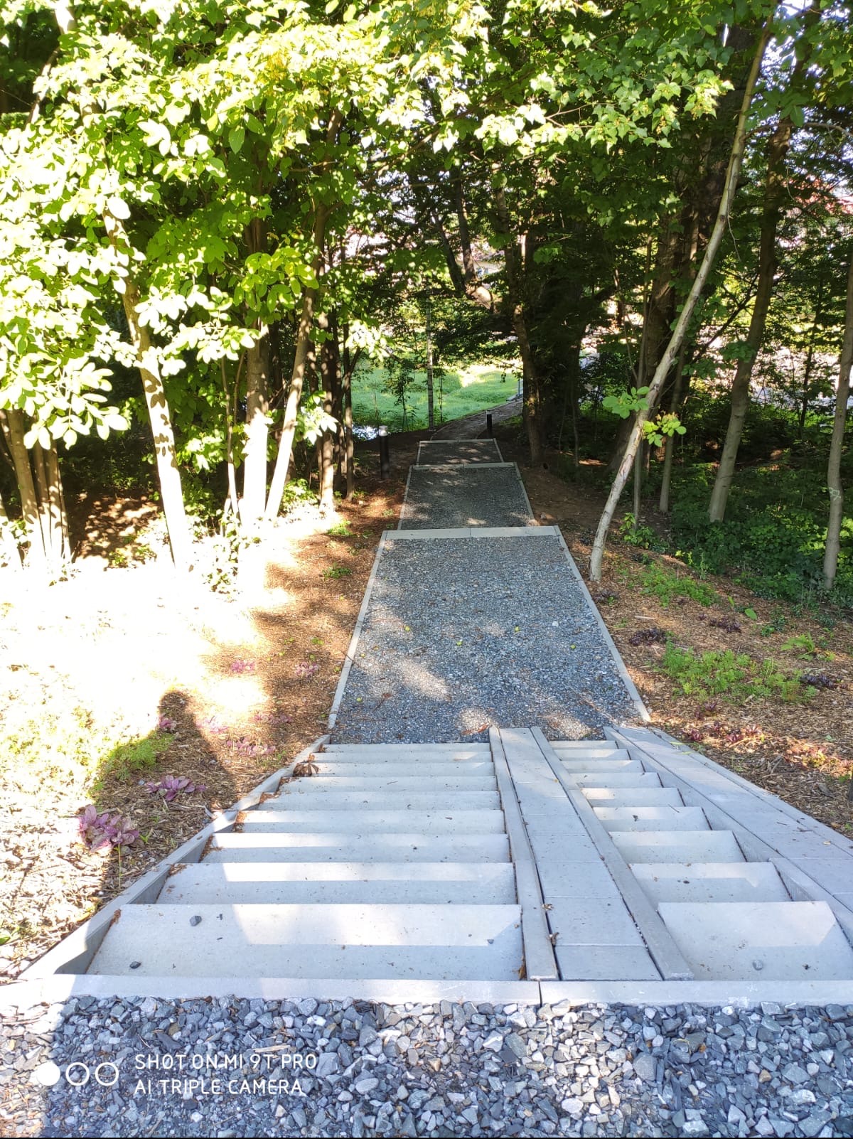 Betonowe schody z szarym żwirem prowadzą w dół przez zalesiony teren, tworząc ścieżkę w ogrodzie. Widok z góry, w słoneczny dzień.