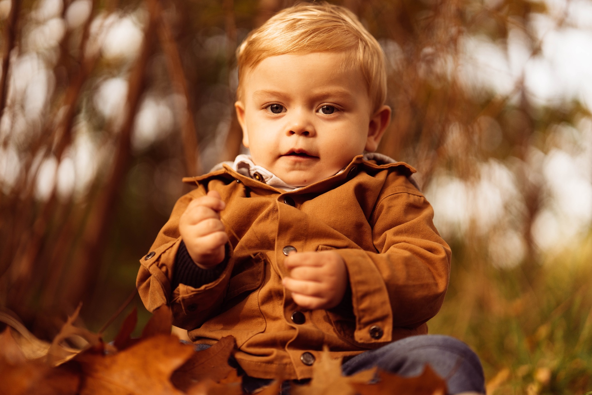 Portret małego blond chłopca w brązowej kurtce na tle jesiennych liści. Dziecko siedzi, patrzy w obiektyw, z zaciśniętymi piąstkami. Ciepłe, naturalne światło.