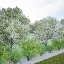 Numeda Pracownia Architektury Krajobrazu Aleksandra Broda - Równy rząd kwitnących drzew i krzewów oddzielony od trawnika pasem białych kamyków. W tle zielony trawnik i drzewa. Ujęcie z perspektywy lekko z góry.