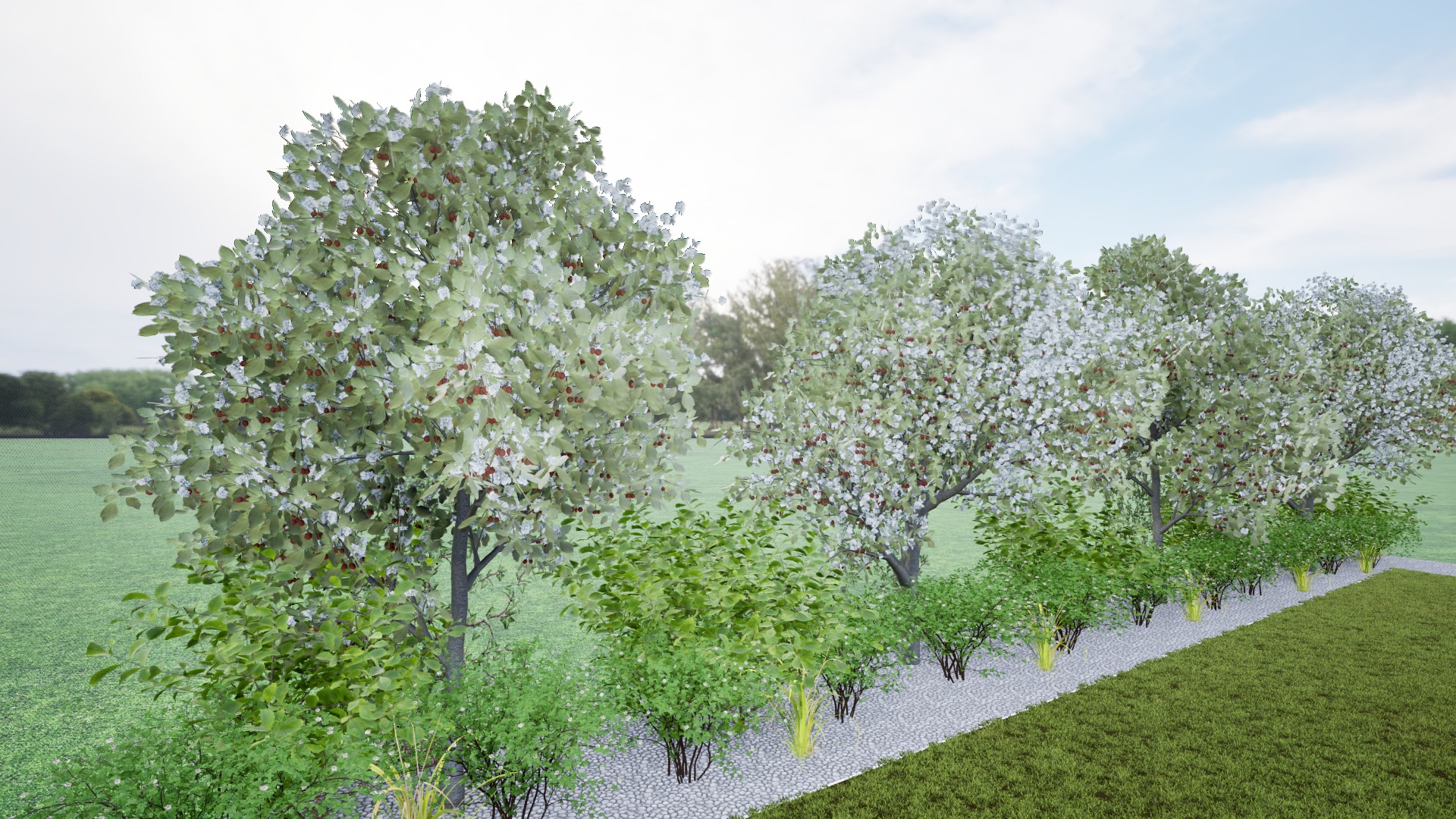 Równy rząd kwitnących drzew i krzewów oddzielony od trawnika pasem białych kamyków. W tle zielony trawnik i drzewa. Ujęcie z perspektywy lekko z góry.