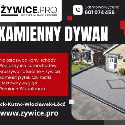 Tarasy kamienne Gostynin 1