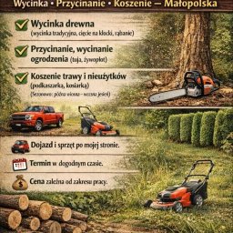 Wycinka drzew Polanka 1