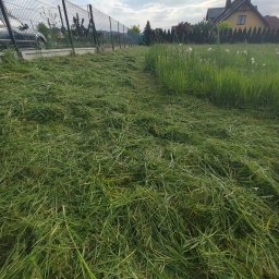 LEMPART GREEN - Świeżo skoszona trawa na działce, widoczny pas skoszonej trawy, w tle ogrodzenie z siatki i dom z żółtą elewacją.