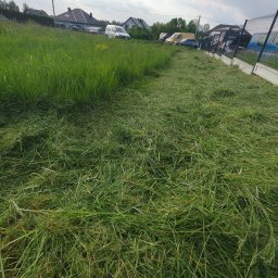 LEMPART GREEN - Świeżo skoszona trawa na działce z wysoką trawą w tle, widoczne domy i samochody. Częściowo skoszony teren, ogrodzenie panelowe po prawej.