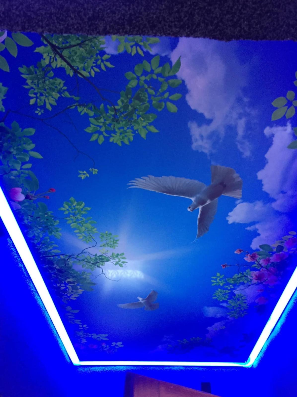 Niebieski sufit napinany z motywem nieba, ptaków i roślin, podświetlony neonowym światłem. Dekoracyjny element wykończenia wnętrza.