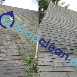 Przycinanie drzew Tychy 1