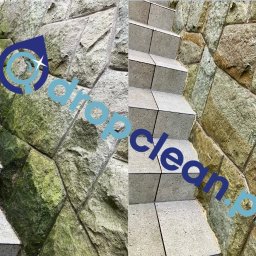 Przycinanie drzew Tychy 3