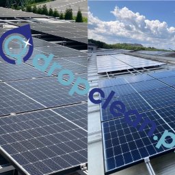 Przycinanie drzew Tychy 4