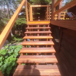 Wnętrza z pasją - Drewniane schody zewnętrzne z balustradą, prowadzące do budynku. Widoczne zielone rośliny i drzewa w tle. Ujęcie z dołu, podkreślające konstrukcję schodów.